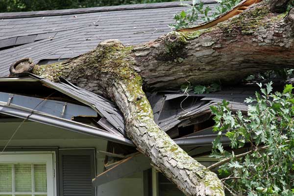 Storm Damage Repair Services